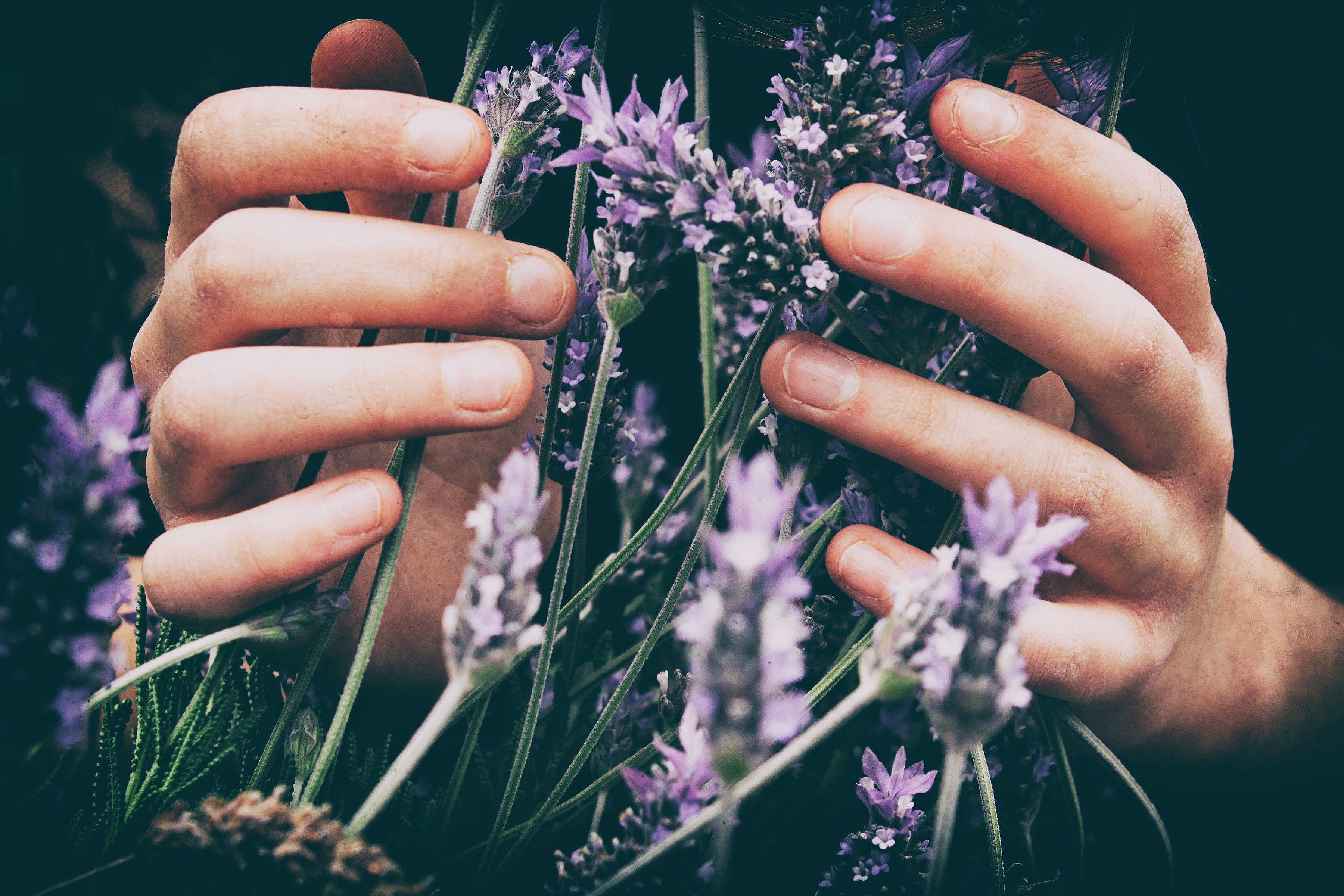 The Best Essential Oils for Mental Wellness (at school and home)