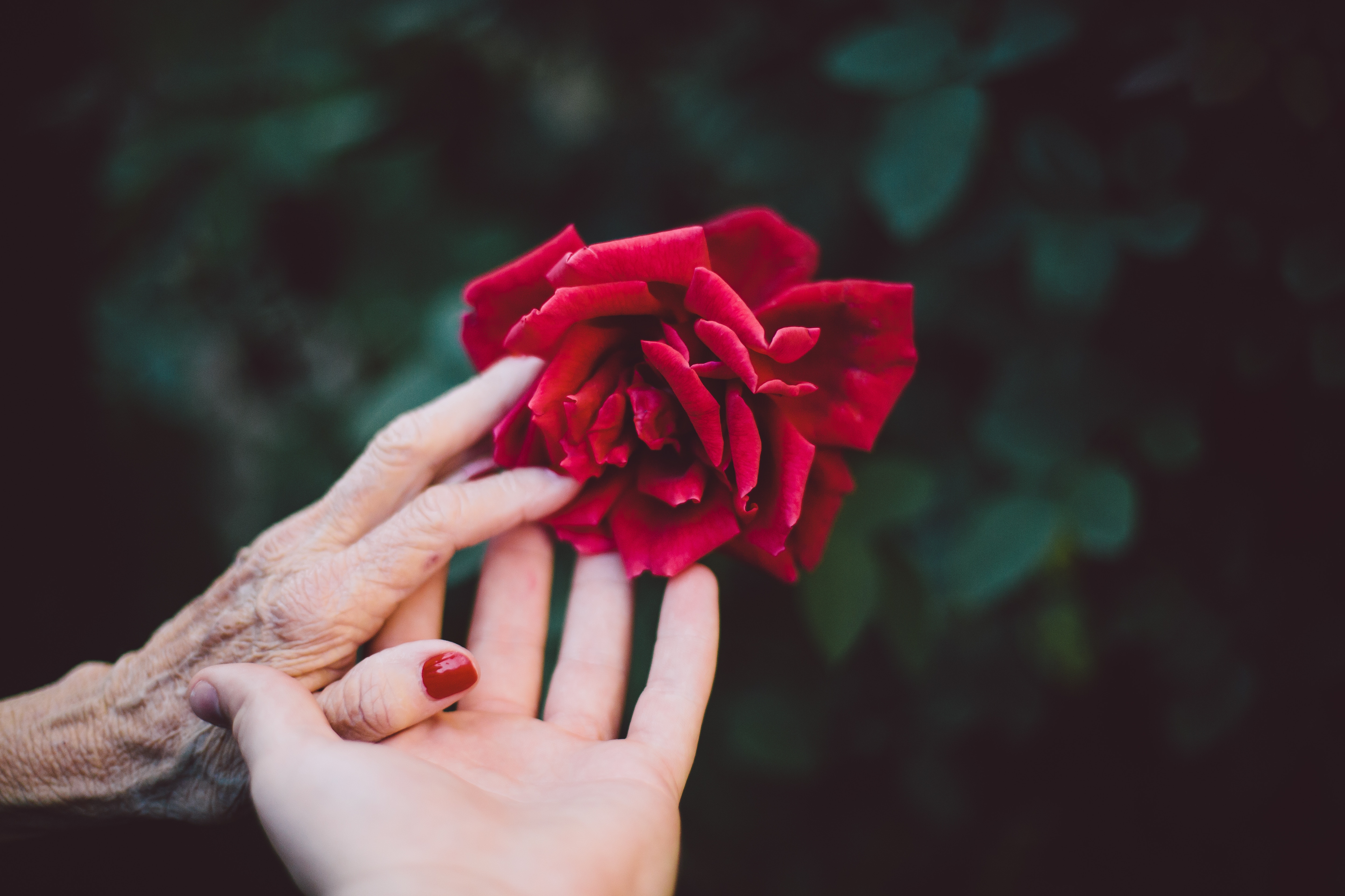 Dying with Grace